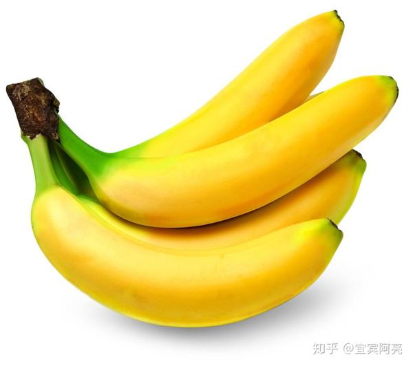 健身营养素饮食比例_健身素食食谱_健身为什么要吃营养素