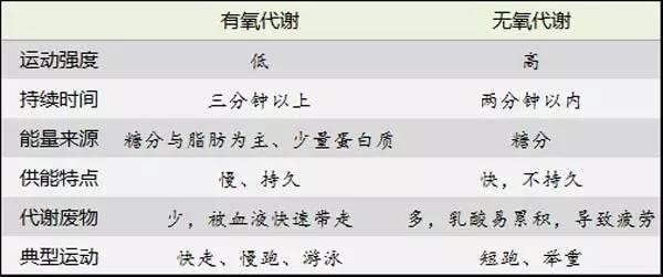 衡水有氧运动_衡水有氧运动_衡水有氧运动