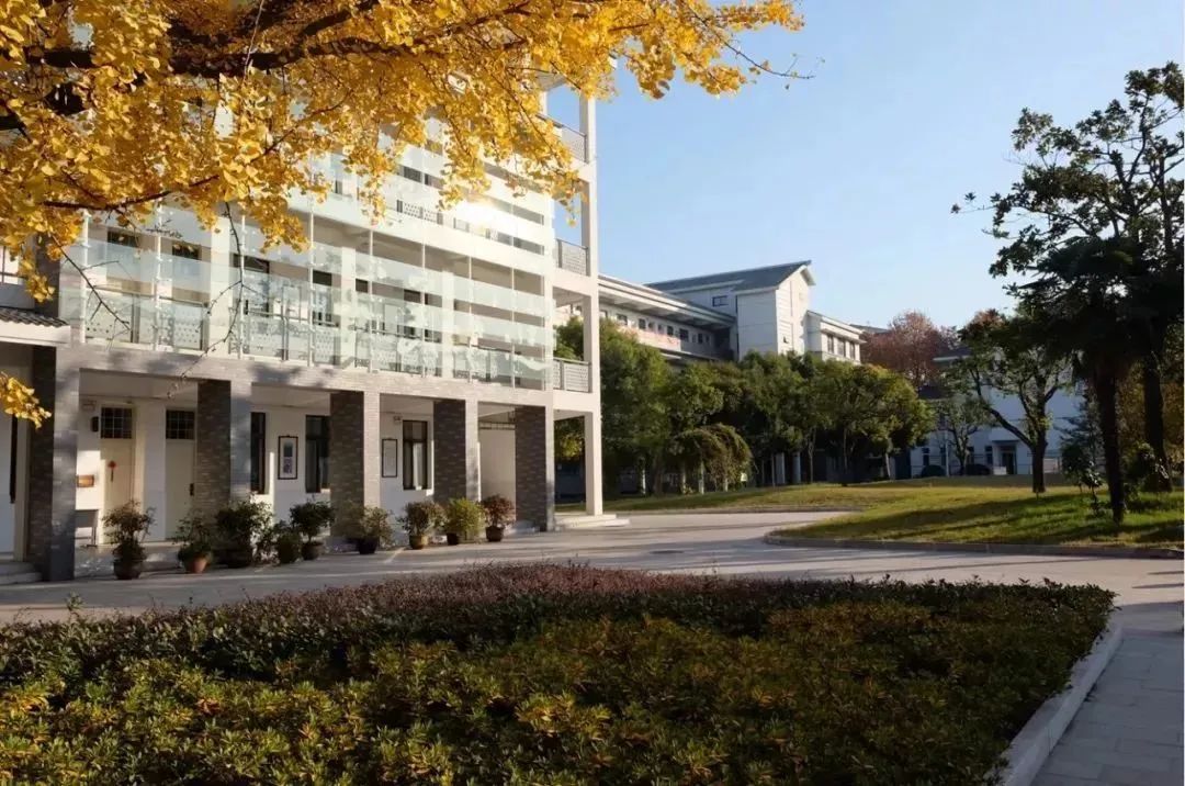 小学体操舞_体操小学生_泰兴小学生体操