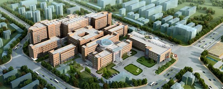泰兴小学生体操_体操小学生_小学体操舞
