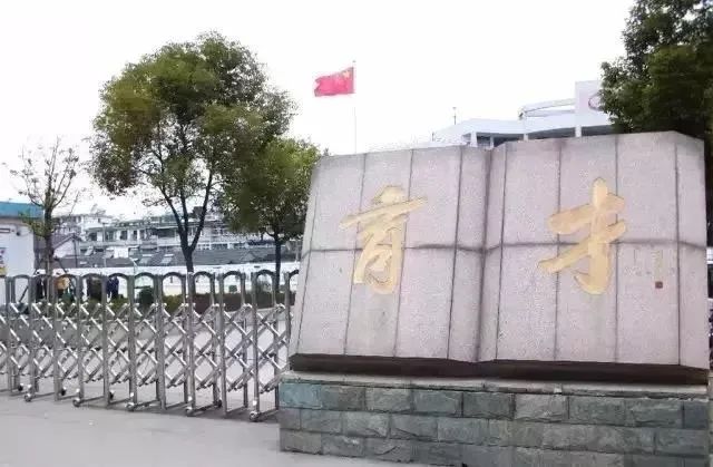 体操小学生_泰兴小学生体操_小学体操舞