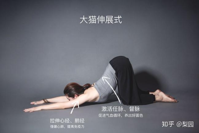 瑜伽健身操_健身好还是瑜伽好_瑜伽健身直播