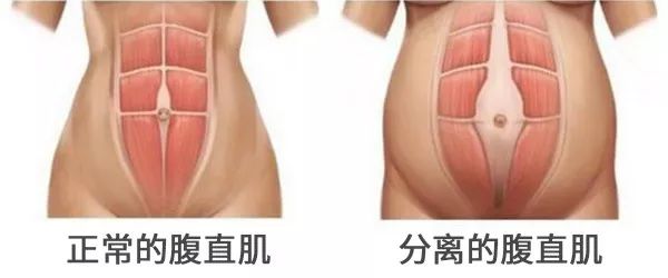 盘点那些健身明星_健身明星rex_明星们健身视频