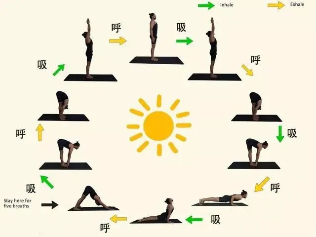 明星健身_明星们健身视频_明星健身视频大全