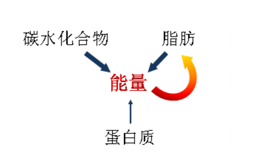 饮料健身运动图片_健身饮料_健身运动饮料