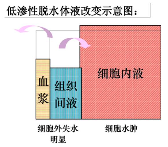 健身饮料_健身运动饮料_饮料健身运动图片