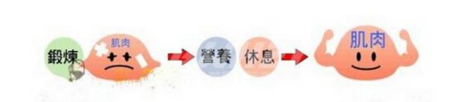 饮料健身运动图片_健身饮料_健身运动饮料