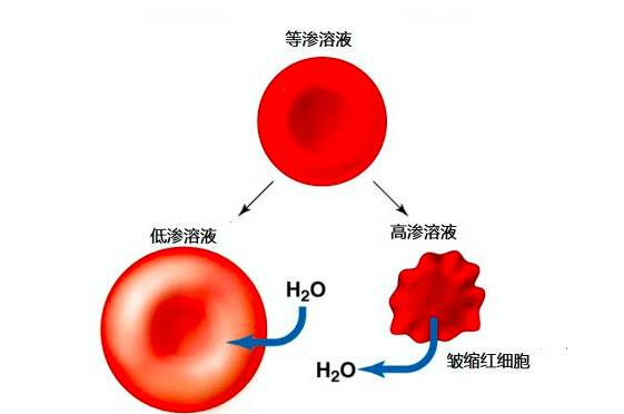 饮料健身运动图片_健身运动饮料_健身饮料