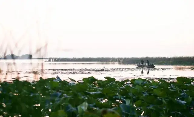 衡水马拉松冲刺比赛_衡水马拉松2019官网_衡水马拉松视频