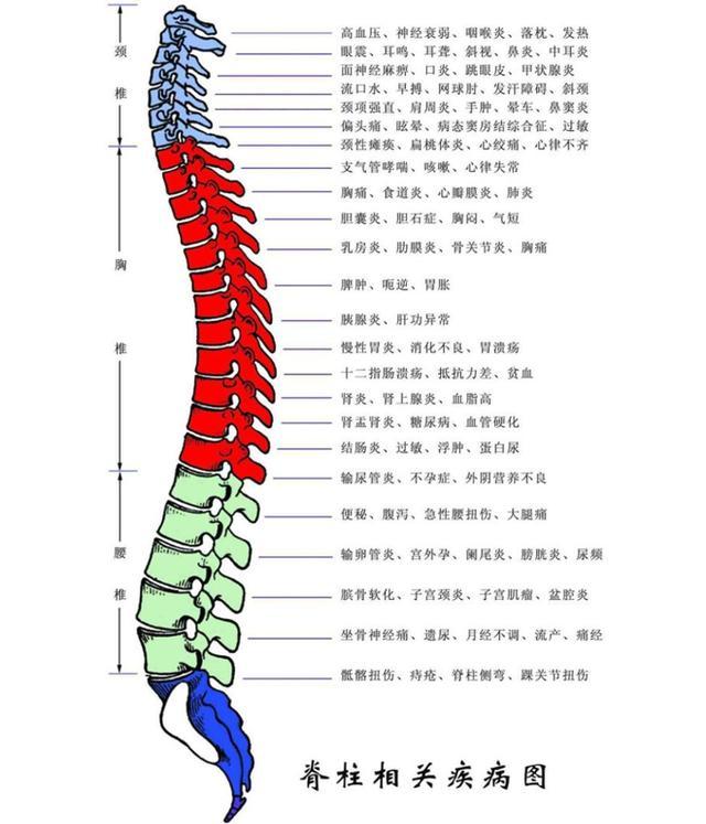 亚健康又称为亚疾病_亚健康种类_亚健康是哪种